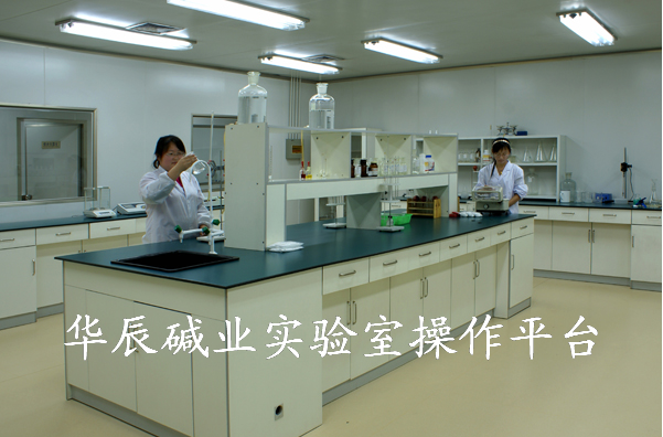 华辰碱业实验室操作平台